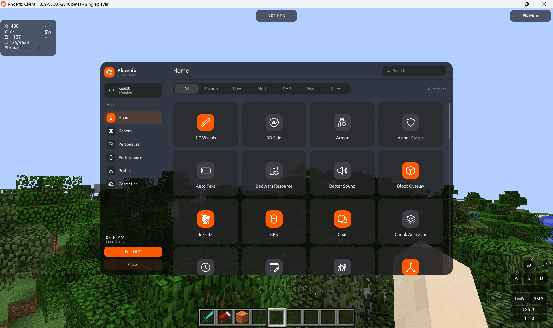 Phoenix Client in-game view